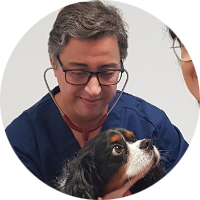 Cabinet vétérinaire Sathonay Vet