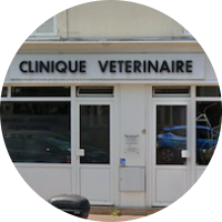 Clinique vétérinaire Albert 1er