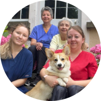 Clinique vétérinaire Dr Vernant & Dr Sajet