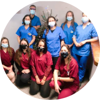 Clinique vétérinaire de l'Orangerie