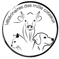 des mille coteaux