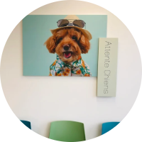 Clinique vétérinaire du Stade