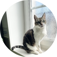 Cabinet vétérinaire de l'Aubier