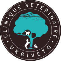 Urbiveto
