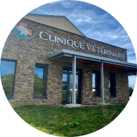 Clinique vétérinaire des Monts Dore