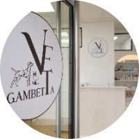 Gambetta