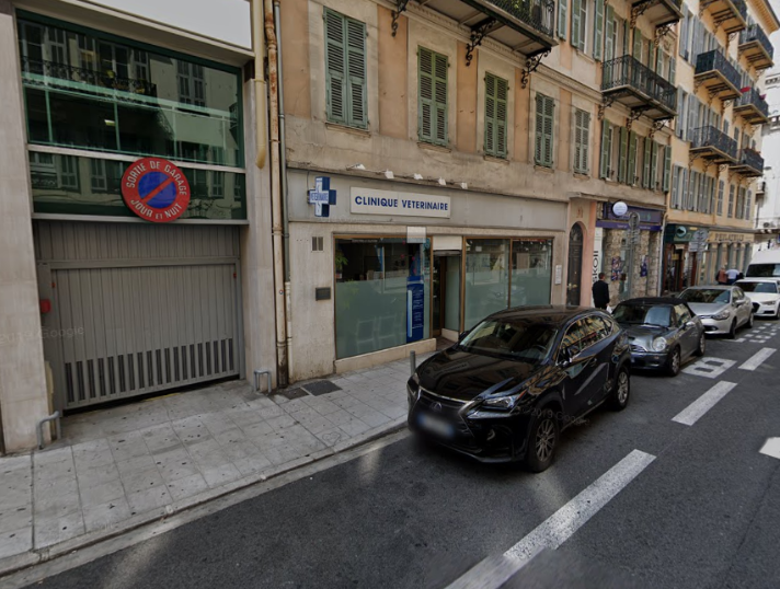 Vétérinaire Nice - Clinique Nicea Du Dr.lisbonne