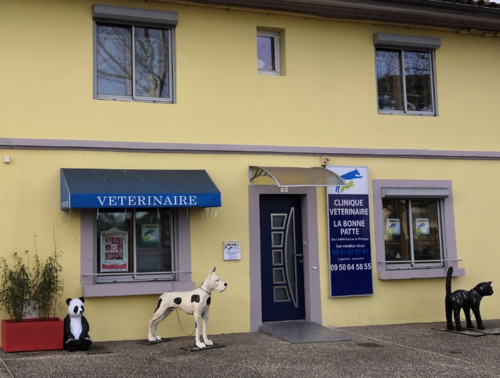 Vétérinaire à PlaisanceduTouch 31830 Clinique vétérinaire La Bonne
