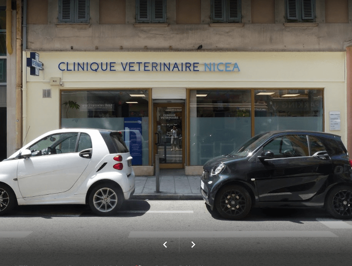 Vétérinaire Nice - Clinique Nicea Du Dr.lisbonne